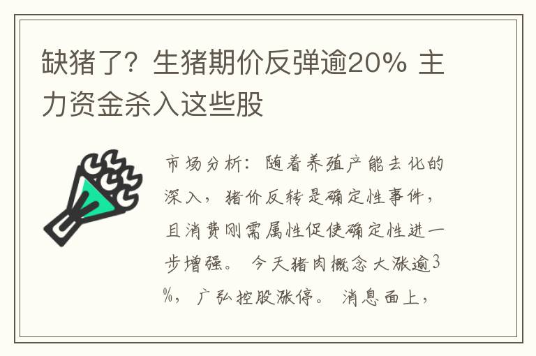 缺猪了？生猪期价反弹逾20% 主力资金杀入这些股