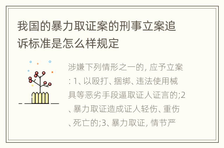 我国的暴力取证案的刑事立案追诉标准是怎么样规定
