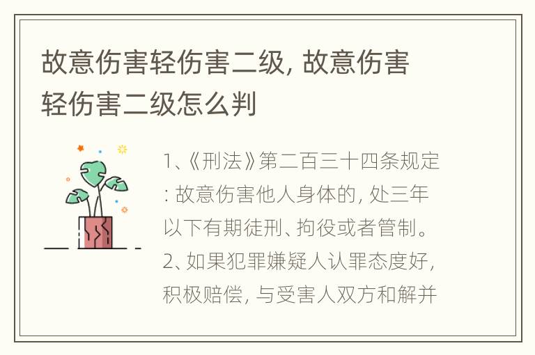 故意伤害轻伤害二级，故意伤害轻伤害二级怎么判