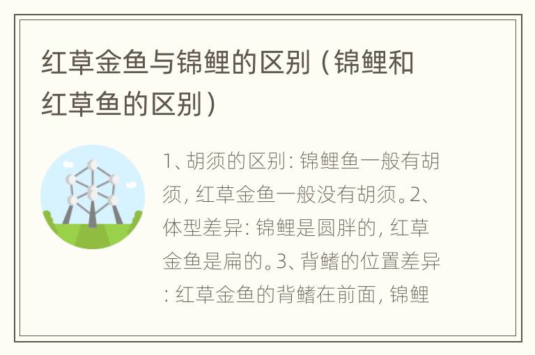 红草金鱼与锦鲤的区别（锦鲤和红草鱼的区别）