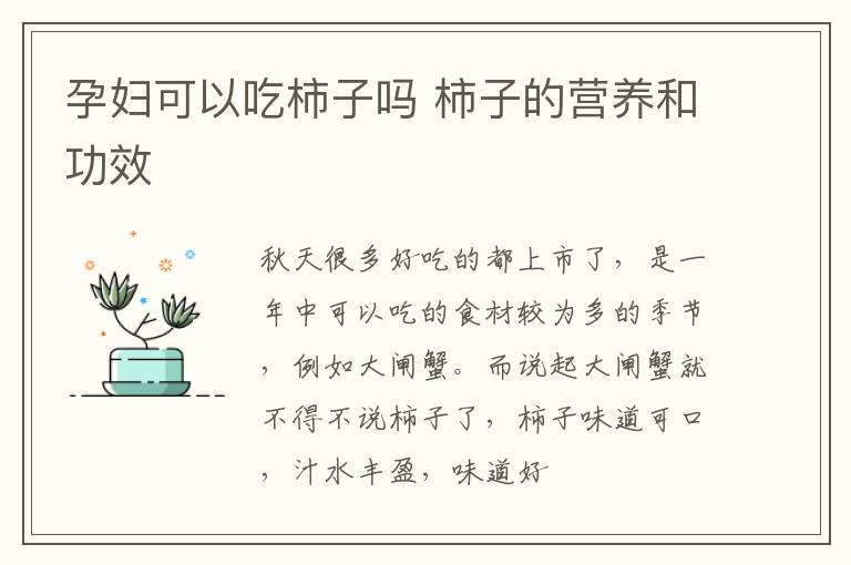 孕妇可以吃柿子吗 柿子的营养和功效