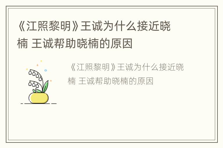 《江照黎明》王诚为什么接近晓楠 王诚帮助晓楠的原因