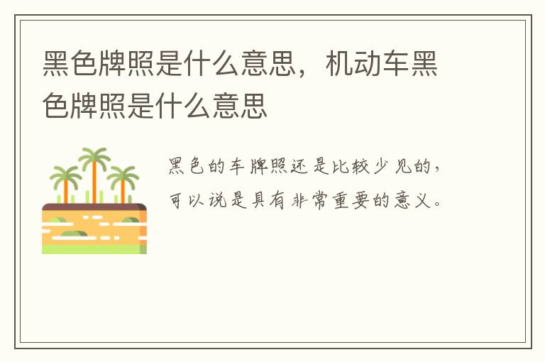 黑色牌照是什么意思，机动车黑色牌照是什么意思