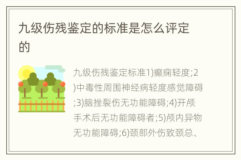 九级伤残鉴定的标准是怎么评定的
