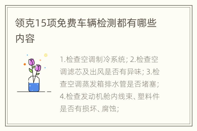 领克15项免费车辆检测都有哪些内容