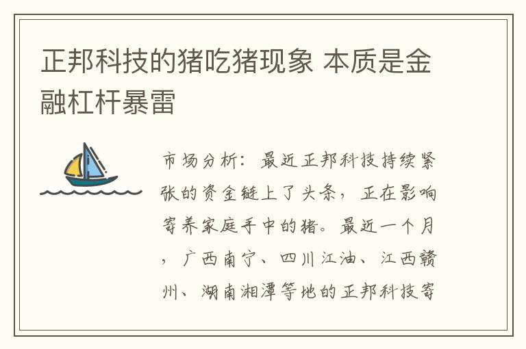正邦科技的猪吃猪现象 本质是金融杠杆暴雷