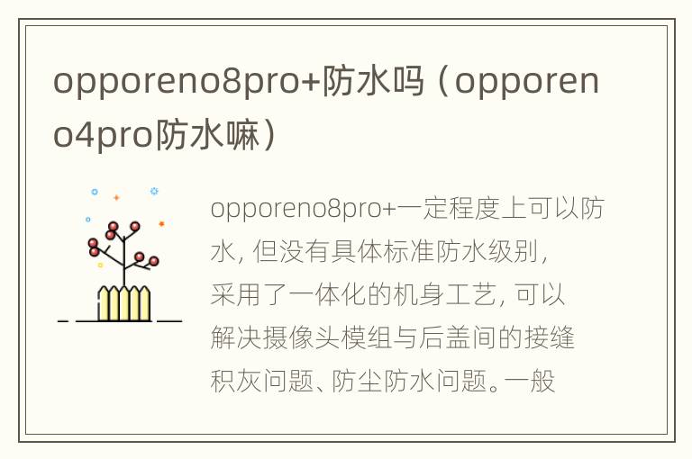 opporeno8pro+防水吗（opporeno4pro防水嘛）