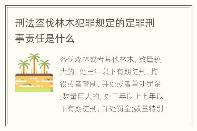 刑法盗伐林木犯罪规定的定罪刑事责任是什么