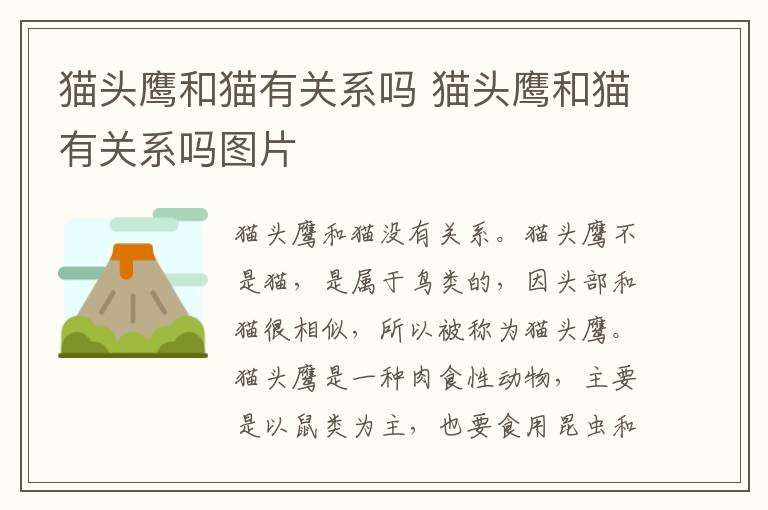 猫头鹰和猫有关系吗 猫头鹰和猫有关系吗图片