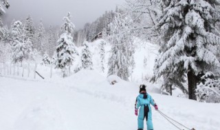 祁连五月满雪花什么意思 祁连五月满雪花的解释
