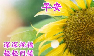 三月最后一天发的可爱早安说说 三月最后一天发的可爱早安说说 有哪些