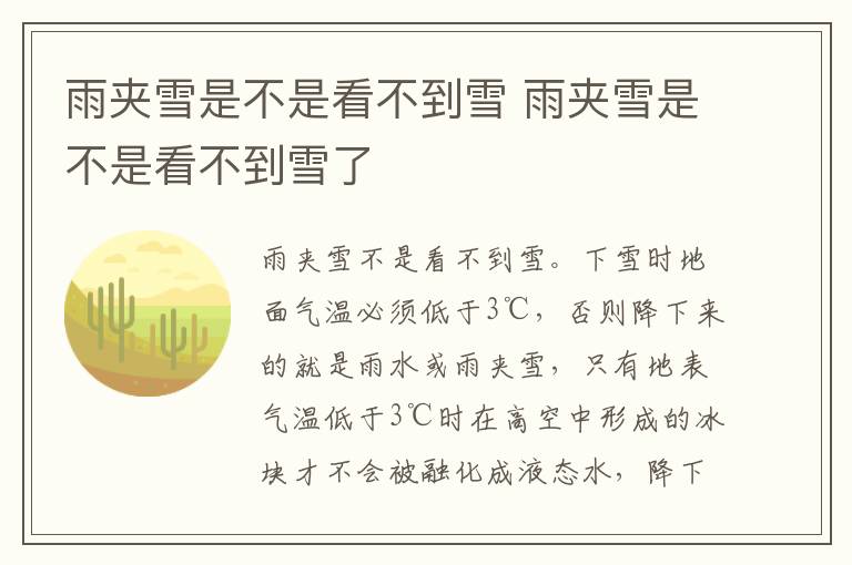 雨夹雪是不是看不到雪 雨夹雪是不是看不到雪了
