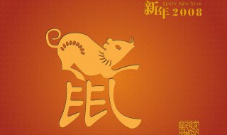 08年是鼠年发生了什么 08年是发生了什么灾难