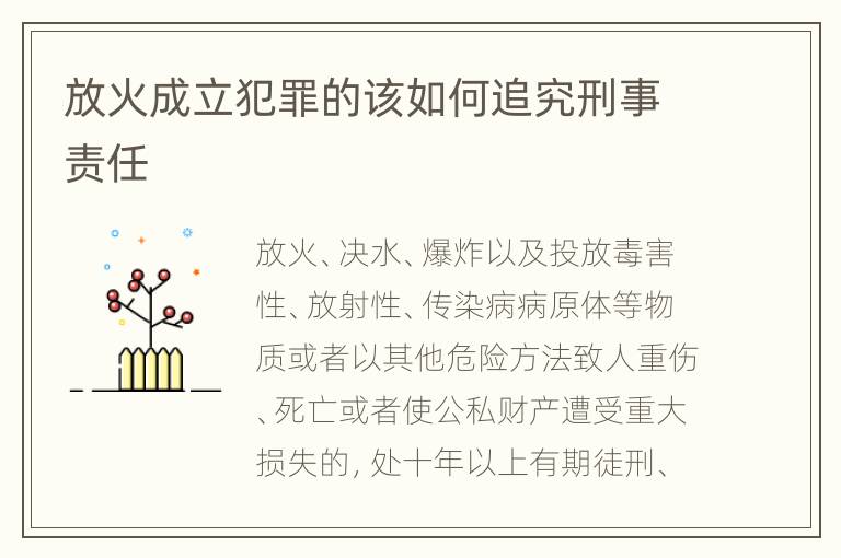 放火成立犯罪的该如何追究刑事责任