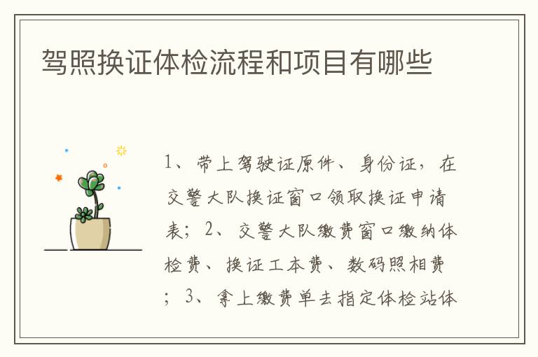 驾照换证体检流程和项目有哪些