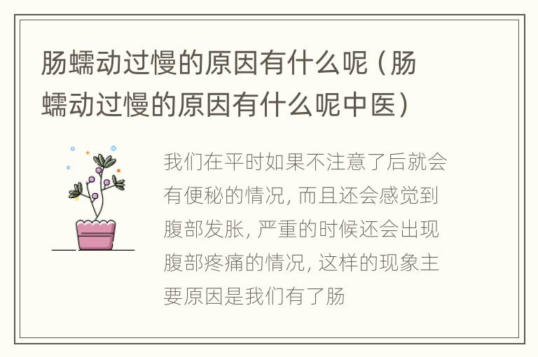 肠蠕动过慢的原因有什么呢（肠蠕动过慢的原因有什么呢中医）