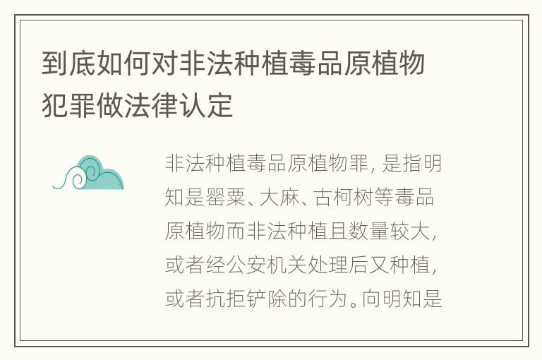 到底如何对非法种植毒品原植物犯罪做法律认定