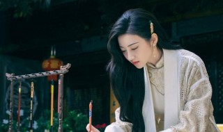 小司藤电视剧叫什么 小司藤电视剧的简介