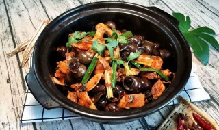 羊肉焖田螺怎么做好吃 制作花椒田螺焖羊肉