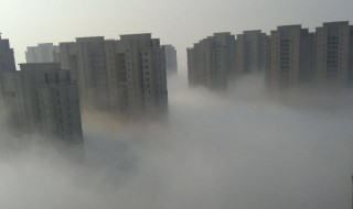 雾和雾霾有什么区别 雾和雾霾区别介绍