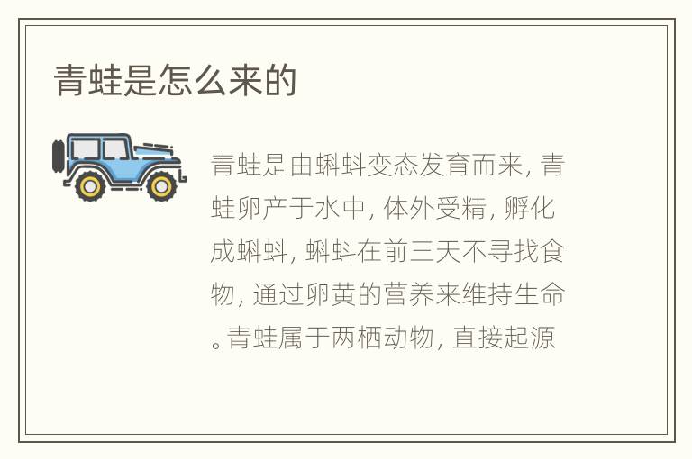 青蛙是怎么来的