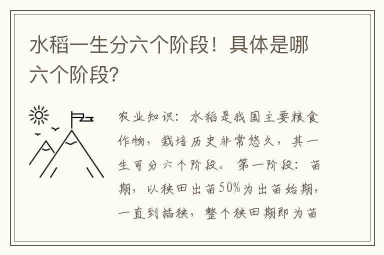 水稻一生分六个阶段！具体是哪六个阶段？