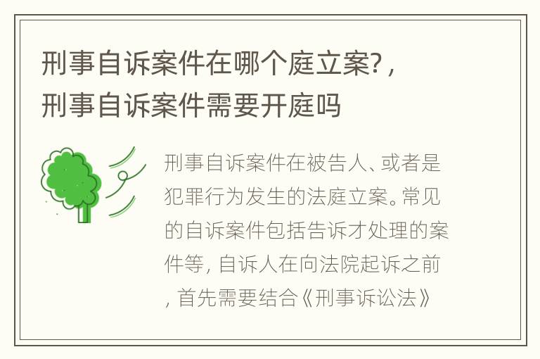 刑事自诉案件在哪个庭立案？，刑事自诉案件需要开庭吗