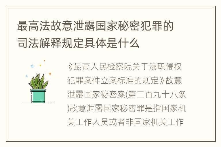 最高法故意泄露国家秘密犯罪的司法解释规定具体是什么