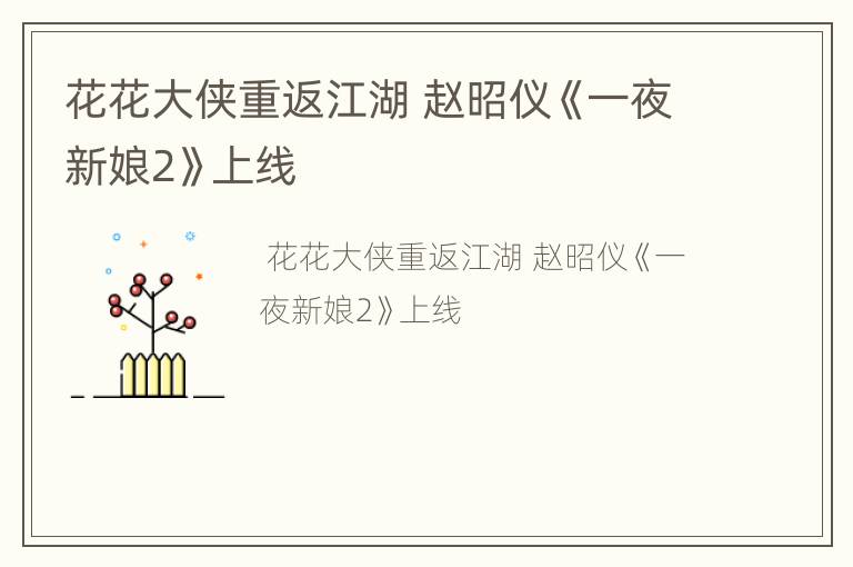 花花大侠重返江湖 赵昭仪《一夜新娘2》上线