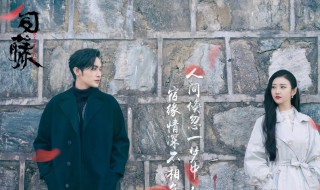 司藤剧情介绍 电视剧司藤讲的是什么内容