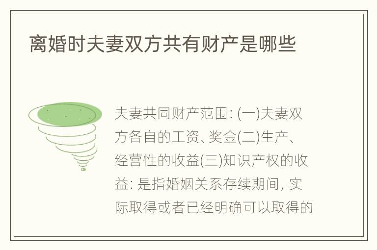 离婚时夫妻双方共有财产是哪些
