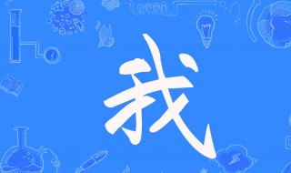 我的意思 我是什么意思