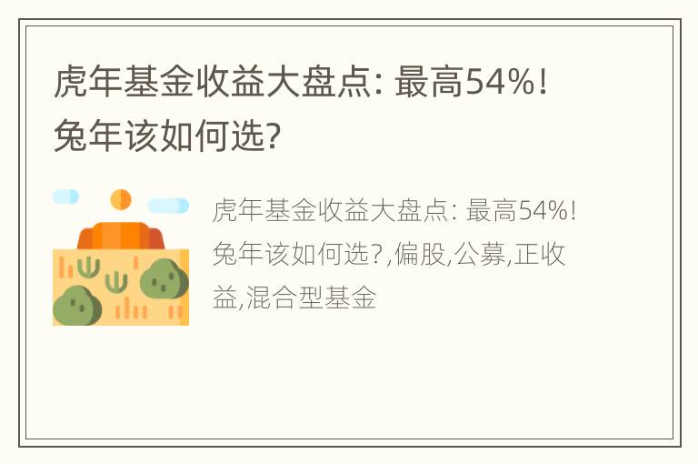 虎年基金收益大盘点：最高54%！兔年该如何选？
