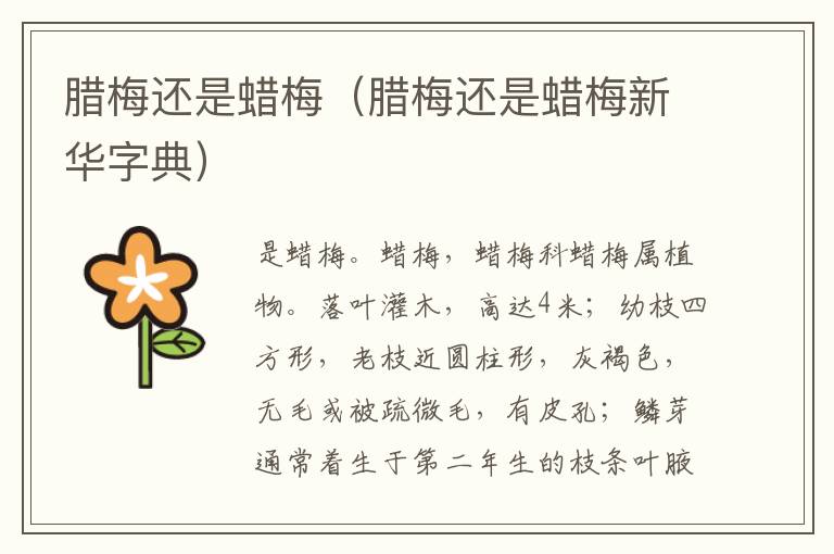 腊梅还是蜡梅（腊梅还是蜡梅新华字典）