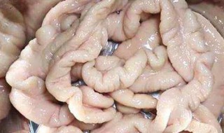 清洗牛大肠小妙招 清洗牛大肠的方法