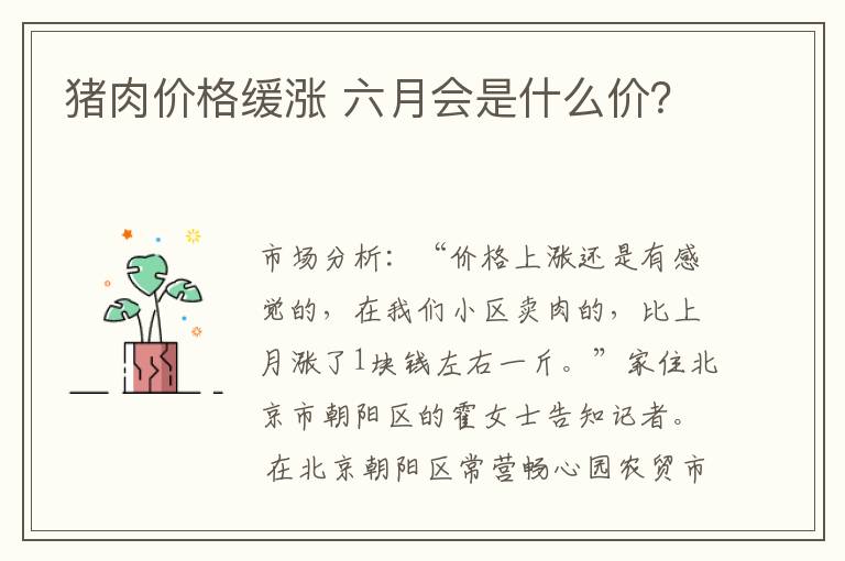 猪肉价格缓涨 六月会是什么价？