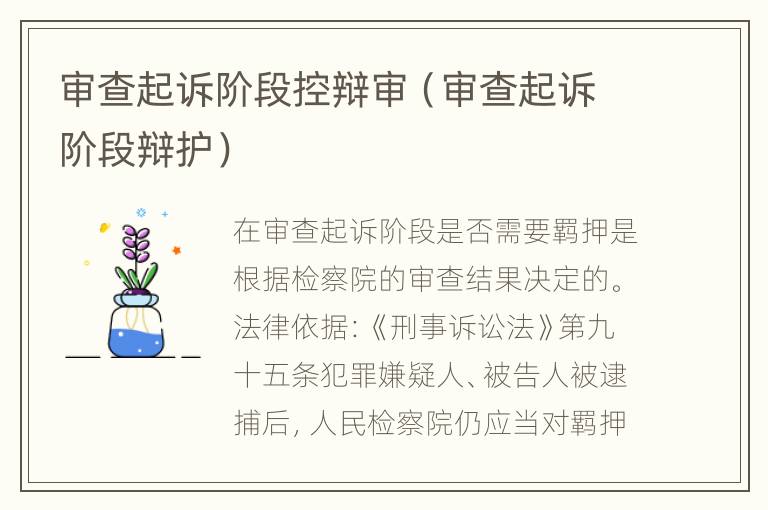 审查起诉阶段控辩审（审查起诉阶段辩护）