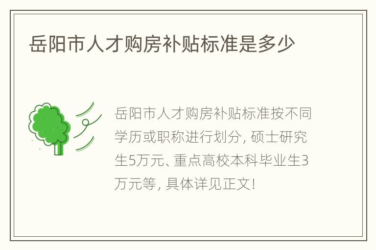 岳阳市人才购房补贴标准是多少