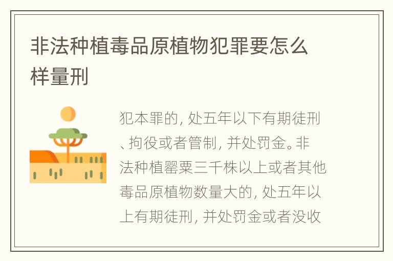 非法种植毒品原植物犯罪要怎么样量刑