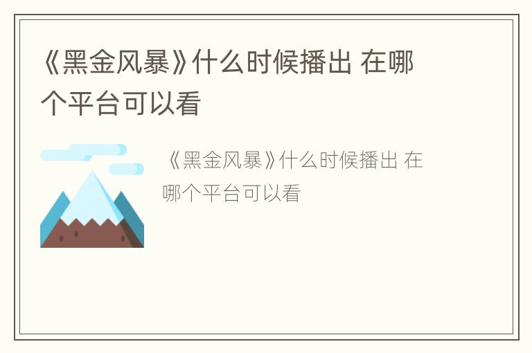 《黑金风暴》什么时候播出 在哪个平台可以看
