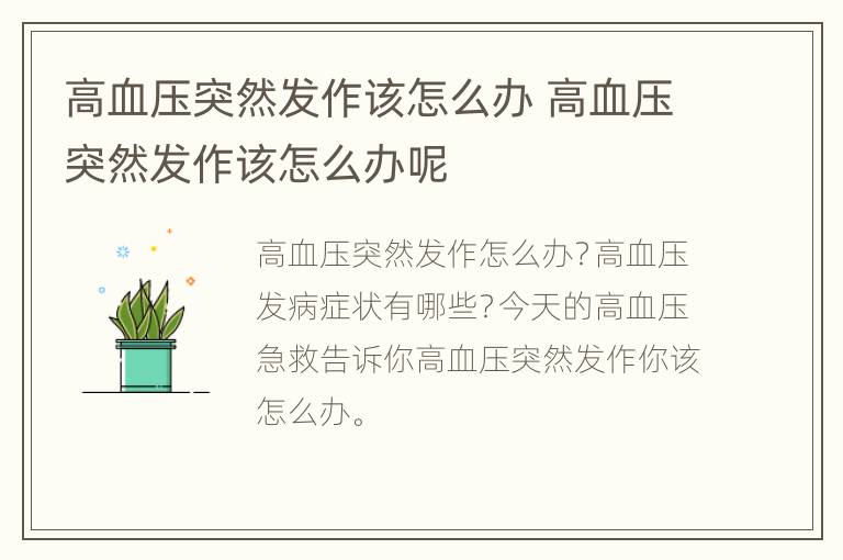 高血压突然发作该怎么办 高血压突然发作该怎么办呢