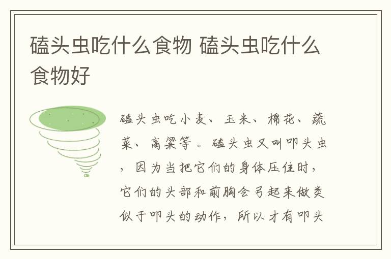 磕头虫吃什么食物 磕头虫吃什么食物好