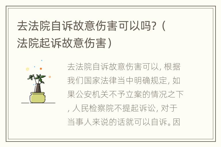 去法院自诉故意伤害可以吗？（法院起诉故意伤害）