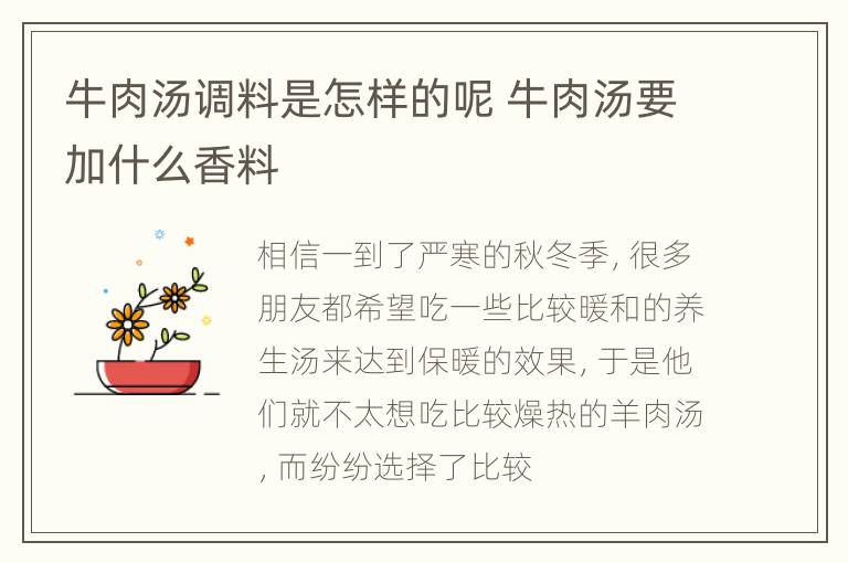 牛肉汤调料是怎样的呢 牛肉汤要加什么香料