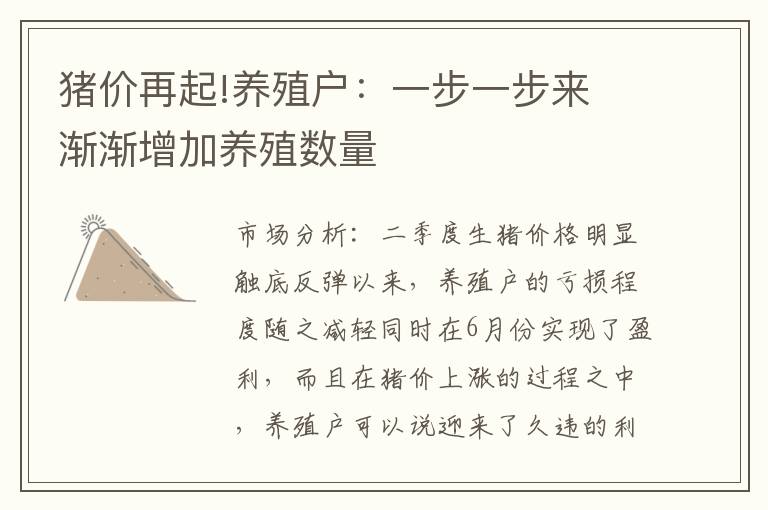 猪价再起!养殖户：一步一步来 渐渐增加养殖数量