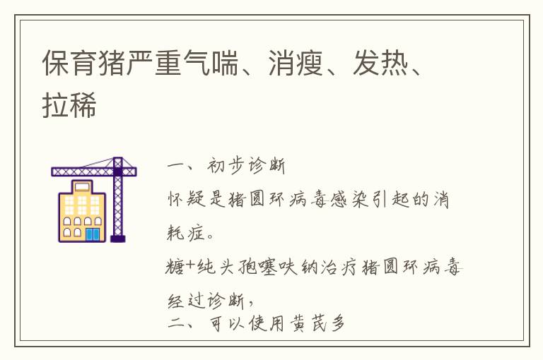 保育猪严重气喘、消瘦、发热、拉稀