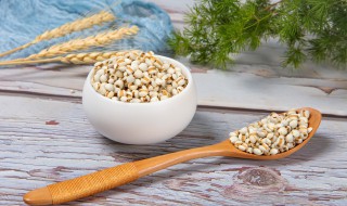 薏米是凉性还是热性 薏米是什么米