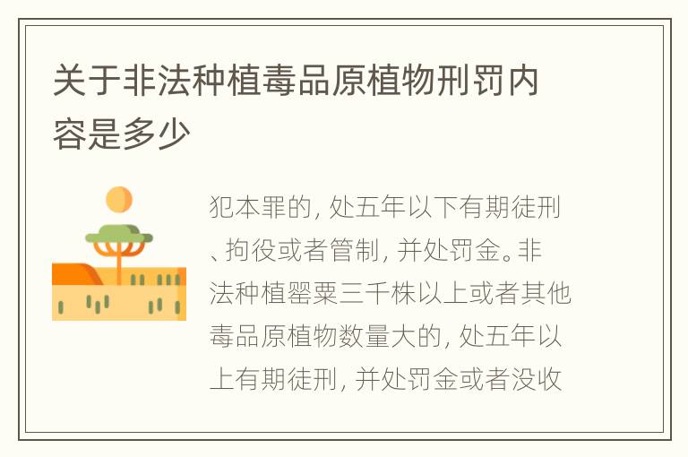 关于非法种植毒品原植物刑罚内容是多少