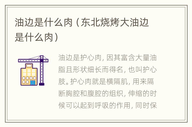 油边是什么肉（东北烧烤大油边是什么肉）