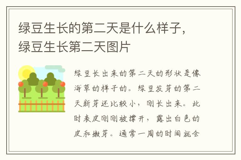 绿豆生长的第二天是什么样子，绿豆生长第二天图片